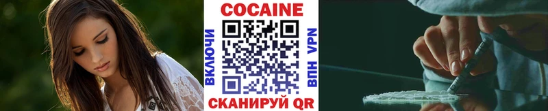 где купить Курчатов Cocaine FishScale