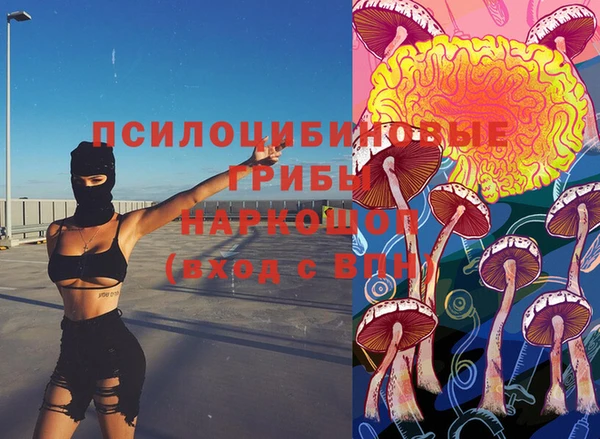 гидропоника Ладушкин
