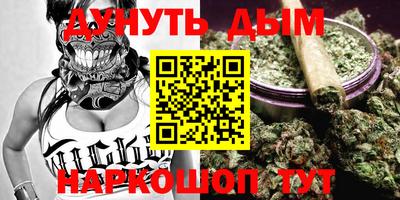 мдпв Будённовск
