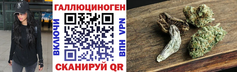 Псилоцибиновые грибы Psilocybine cubensis  кракен зеркало  площадка официальный сайт  Курчатов 