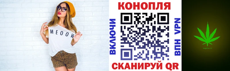 дарнет шоп  Курчатов  KRAKEN зеркало  Марихуана гибрид 